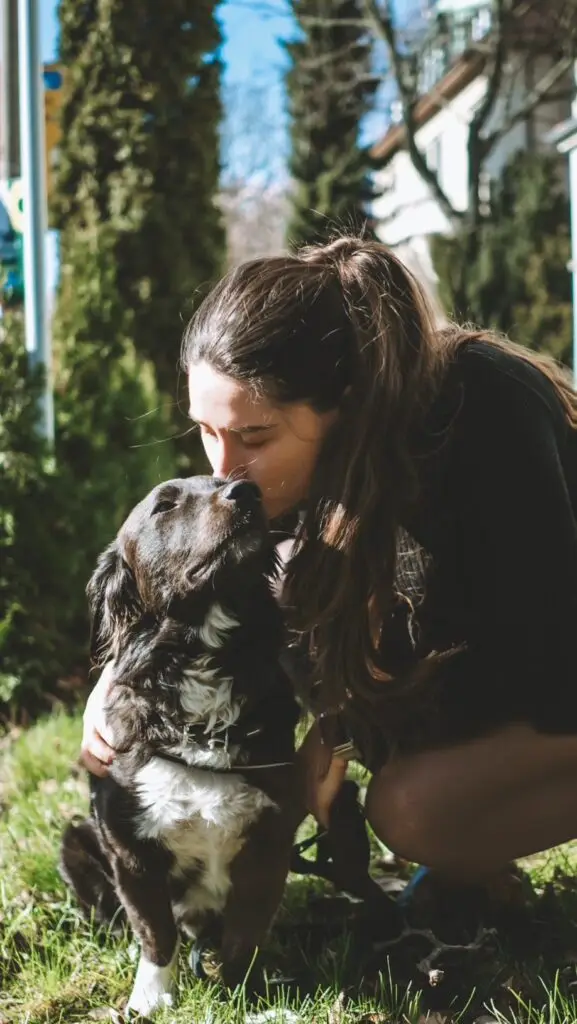 Hund Milo - Freelancerin für Online-Marketing
